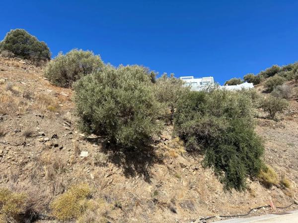 Terreno en calle Platero