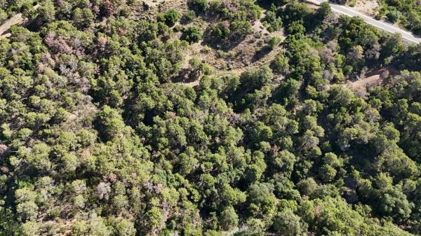 Terreno en via Brijan