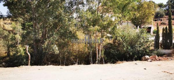 Terreno en Barrio Jarazmín