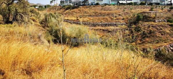 Terreno en Barrio Jarazmín