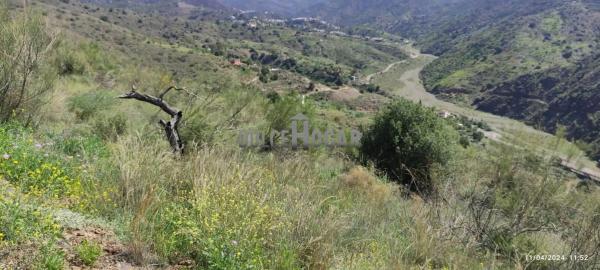Terreno en Barrio Huerta Nueva - Jardín de Málaga