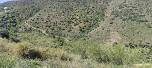 Terreno en Barrio Huerta Nueva - Jardín de Málaga