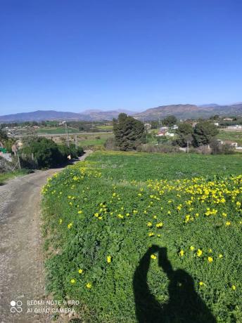 Terreno en carretera de Cártama, 25
