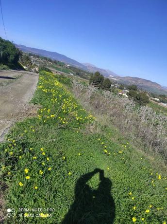Terreno en carretera de Cártama, 25