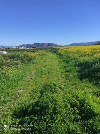 Terreno en carretera de Cártama, 25