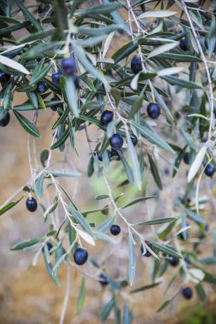 Terreno en Poligono, 2