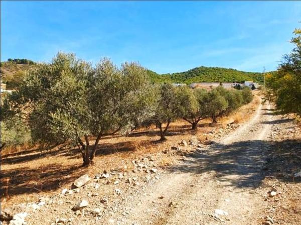 Terreno en Poligono, 2