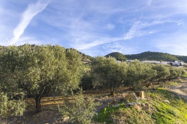 Terreno en Poligono, 2