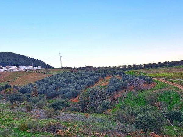 Terreno en Poligono, 2