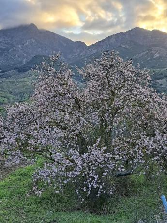 Terreno en Poligono, 2