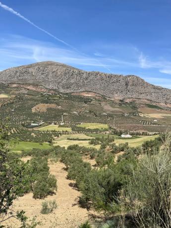 Terreno en Polígono 3-Parcela
