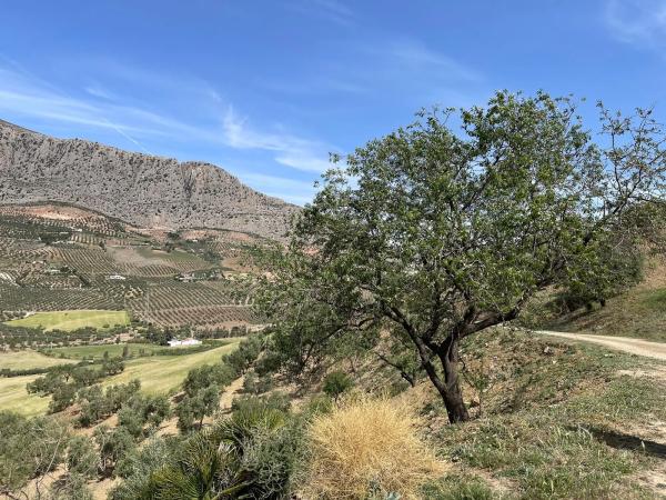 Terreno en Polígono 3-Parcela