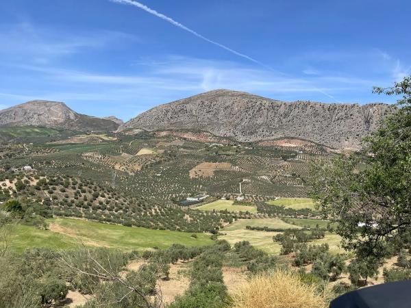 Terreno en Polígono 3-Parcela