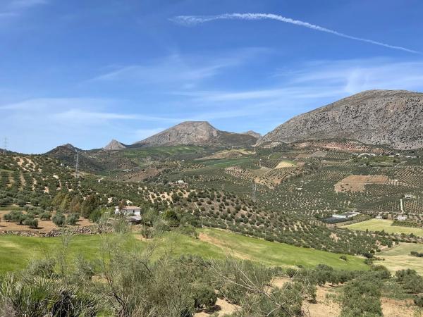Terreno en Polígono 3-Parcela