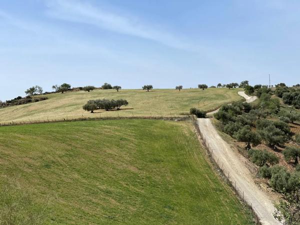 Terreno en Polígono 3-Parcela