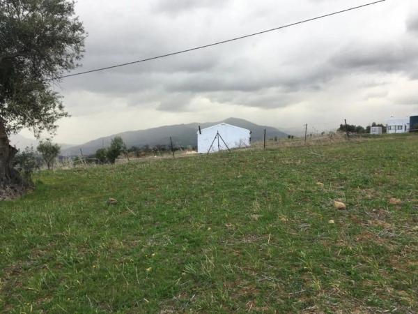 Terreno en Polígono 3-Parcela