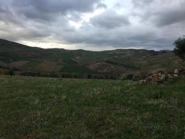 Terreno en Polígono 3-Parcela