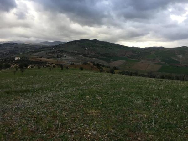 Terreno en Polígono 3-Parcela