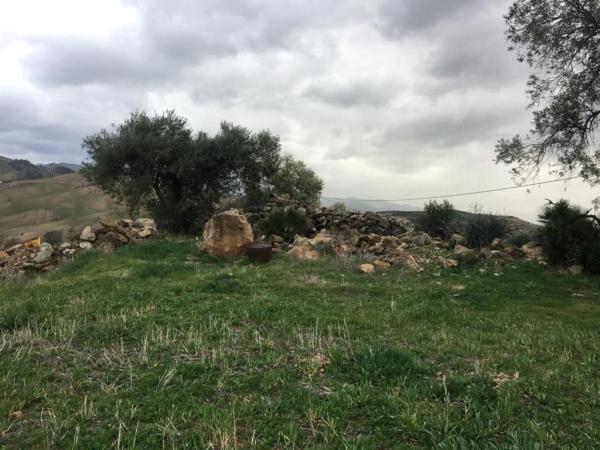 Terreno en Polígono 3-Parcela