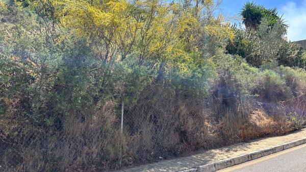 Terreno en calle el Greco, 18