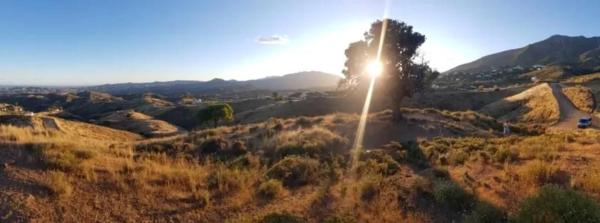 Terreno en la Alcarihuela, 4