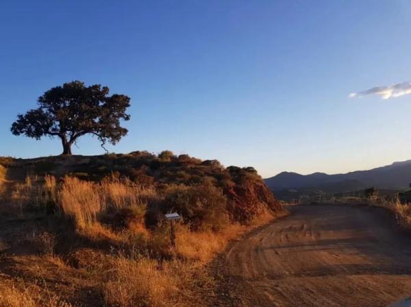 Terreno en la Alcarihuela, 4