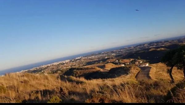 Terreno en la Alcarihuela, 4