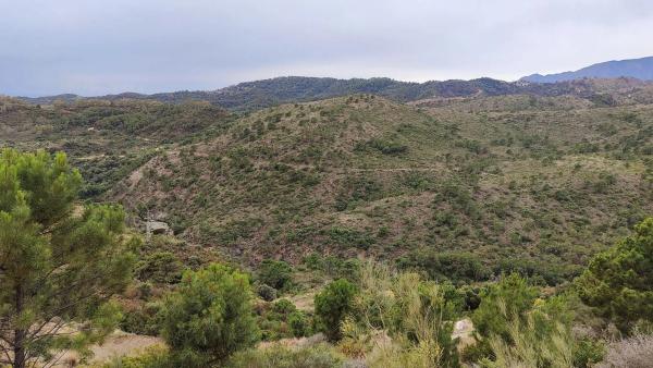 Terreno en Carretera, 19 g