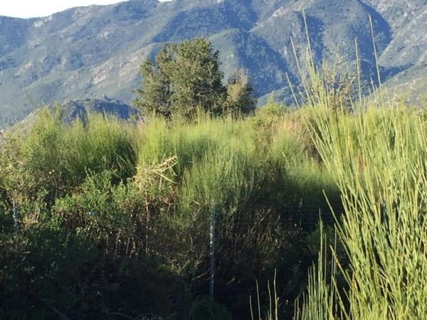 Terreno en Diseminado Diseminados