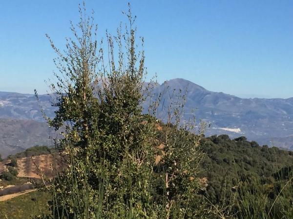 Terreno en Diseminado Diseminados