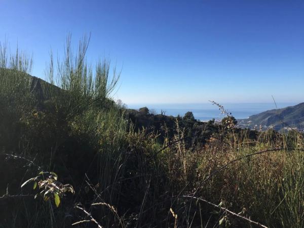 Terreno en Diseminado Diseminados