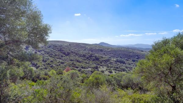 Terreno en ronda Algeciras. Barriada Gibralmedina, km 0