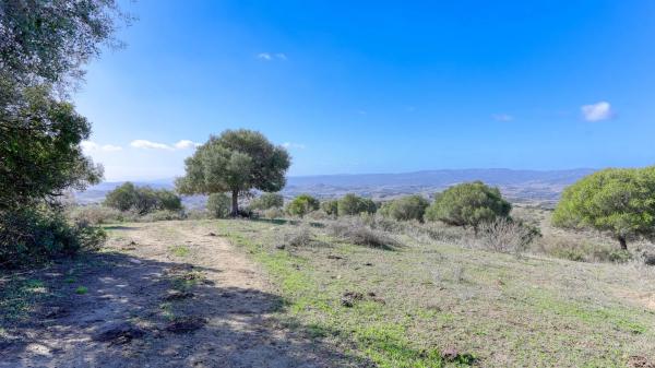 Terreno en ronda Algeciras. Barriada Gibralmedina, km 0