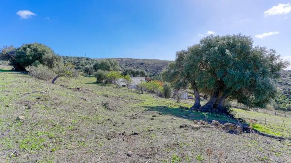 Terreno en ronda Algeciras. Barriada Gibralmedina, km 0