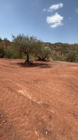 Terreno en calle guaro Viejo s/n