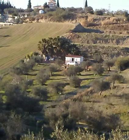 Terreno en Distrito El Cigarral