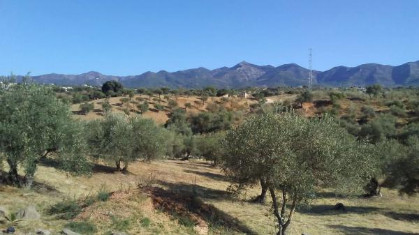 Terreno en Distrito El Cigarral