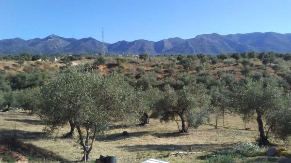 Terreno en Distrito El Cigarral