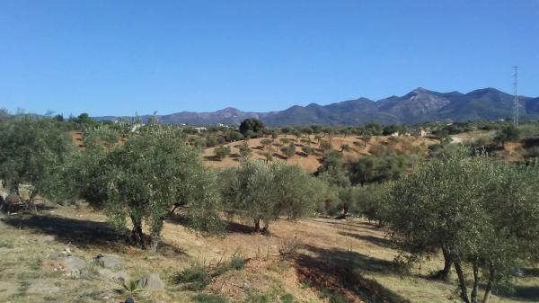 Terreno en Distrito El Cigarral