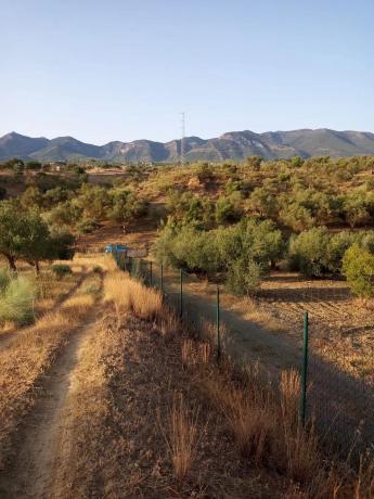 Terreno en Distrito El Cigarral