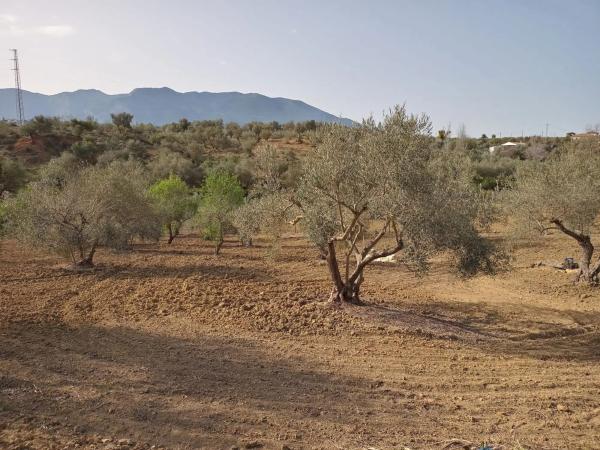 Terreno en Distrito El Cigarral