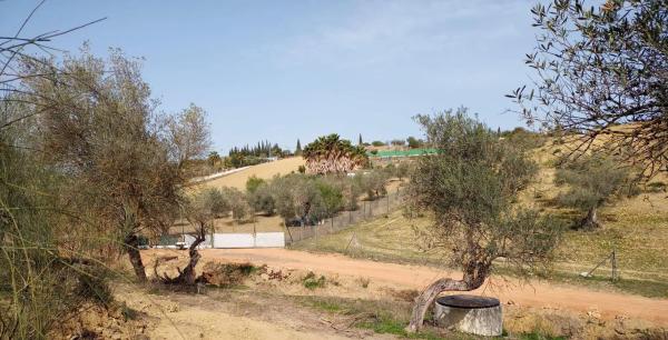Terreno en Distrito El Cigarral