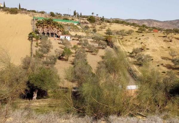 Terreno en Distrito El Cigarral