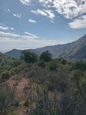 Terreno en Rio la miel, 5