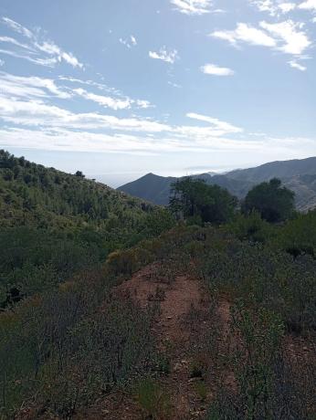 Terreno en Rio la miel, 5
