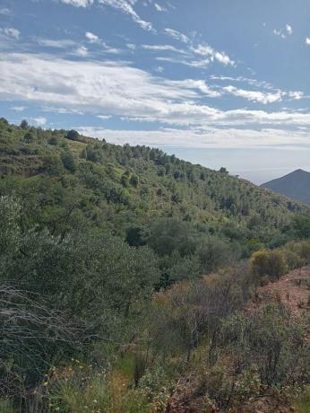Terreno en Rio la miel, 5
