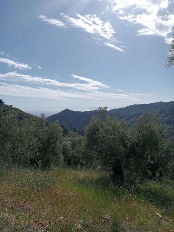Terreno en Rio la miel, 5