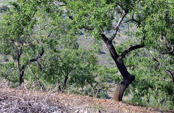 Terreno en Paraje Romo