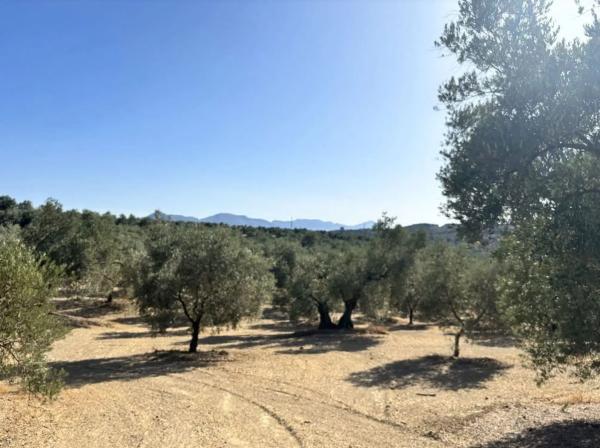 Terreno en Polígono