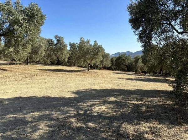 Terreno en Polígono